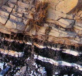 sand-channel-over-tonstein-irish-canyonb-cover Sand Channel over Tonstein Irish Canyonb