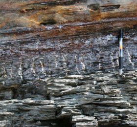 sturgeon-point-fractures-zoom-cover Sturgeon Point Fractures Zoom
